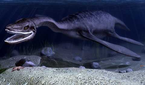 Ly kỳ chuyện 'thủy quái hình rắn' ở Việt Nam