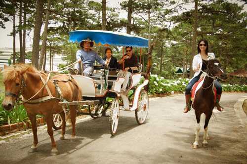 'Mã tặc' hoành hành ở Đà Lạt