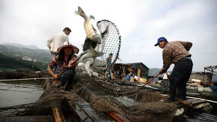 Trung Quốc lập cơ sở nghiên cứu hải sản ở Biển Đông
