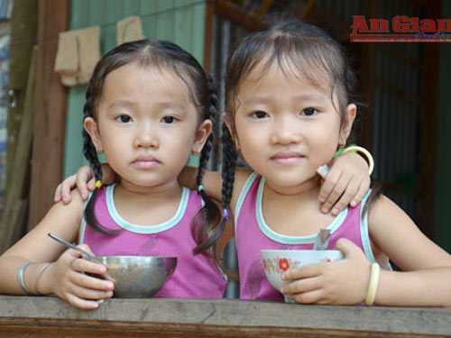 Kỳ lạ ấp sinh đôi ở An Giang