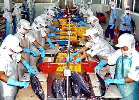 Bỏ hơn 1,4 tỷ đồng mua tin luồng cá