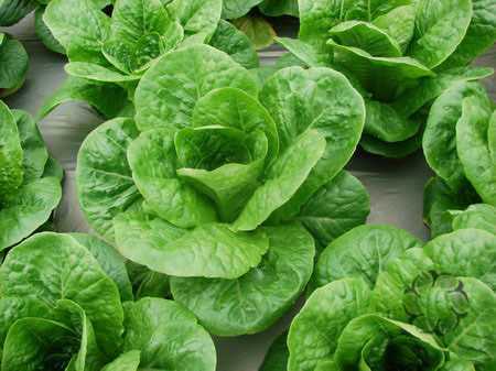 Tin hot 18/7:'Vườn bí mật' giới quan chức Trung Quốc