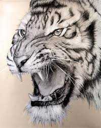 'Vương quốc' của thần hổ và ma trành