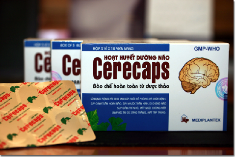 Trị bệnh suy giảm tuần hoàn não bằng Đông y