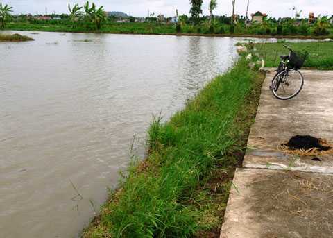 Điều tra cái chết bất thường dưới ruộng ngập nước