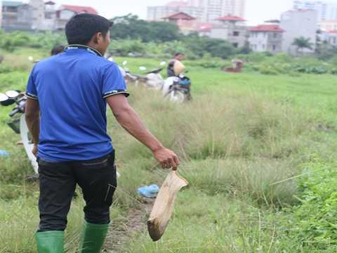 Cận cảnh dân Hà Nội nhao đi bắt đỉa bán giá tiền triệu