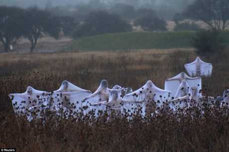 Clip: Lễ hội người chết có một không hai