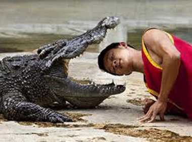 Hãi hùng cá sấu 'khủng' ngoạm đầu huấn luyện viên