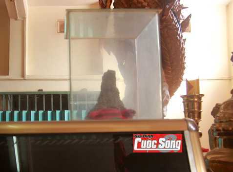 Sư ông ‘tắm gió, gội mưa’ và gò mối mọc trên áo quan