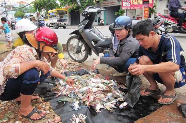 Clip: Chen lấn xô đẩy mua ghẹ chết