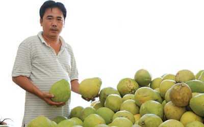 Những 'ông vua' mới nổi của Việt Nam