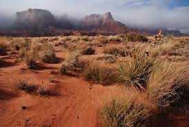 Clip: Rau xanh trồng trên sao Hoả