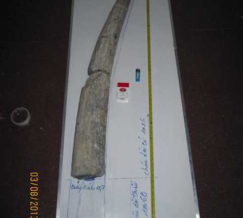 Gặp người sở hữu ngà voi hóa thạch giá 4 triệu USD