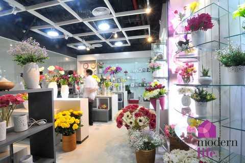 Khám phá thế giới đồ gia dụng hàng hiệu tại Modern Life