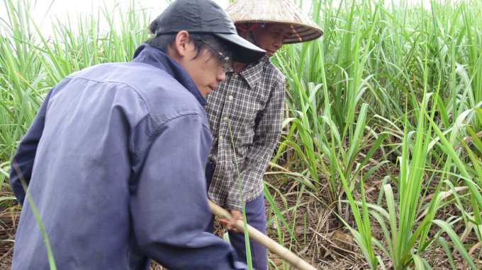 Mồ côi cha, 'Cường làm thuê' đỗ thủ khoa