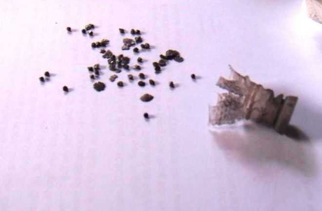 Từ chối lời yêu, thiếu nữ và mẹ bị bắn thẳng mặt