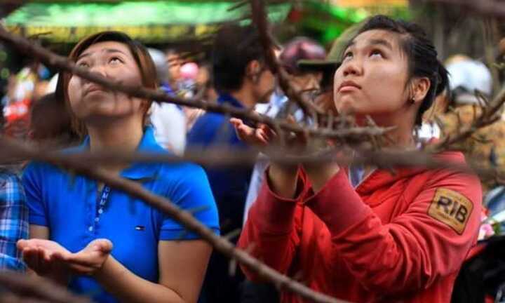 Ảnh: Đứng hàng giờ hứng hoa Sa La ngày Vu Lan