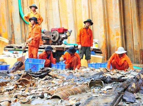 Giải mã 'nghĩa địa' tàu cổ ở Quảng Ngãi