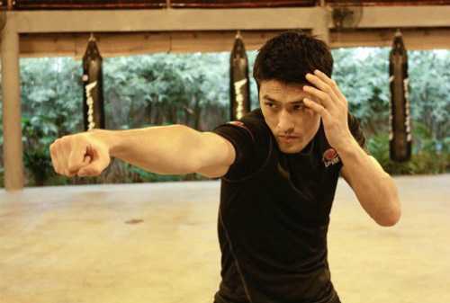 Xem Johnny Trí Nguyễn đấu võ với cao thủ Thái Lan