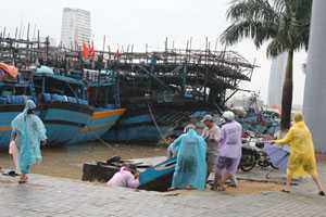 Miền Trung khẩn cấp ứng phó với bão số 8