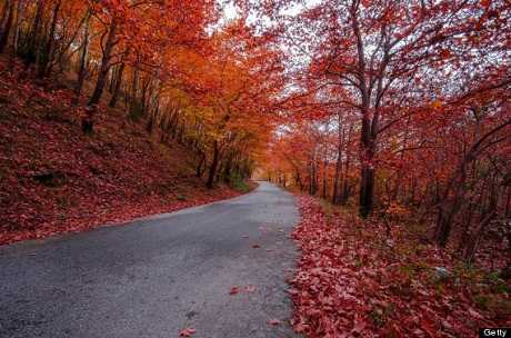 Những mùa thu đẹp nhất trên thế giới