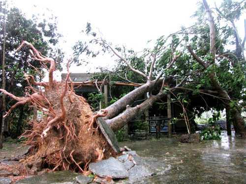 Cả miền Trung tan hoang trong bão