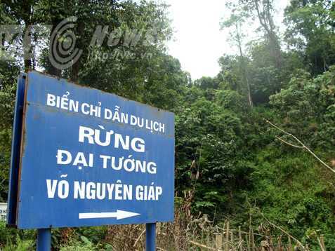 Khám phá khu rừng mang tên Đại tướng Võ Nguyên Giáp