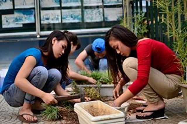 Nữ sinh ĐH Công nghiệp 'ra tay' bảo vệ môi trường