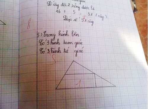 Tranh cãi 'Bài toán lớp 2 bị chấm sai'