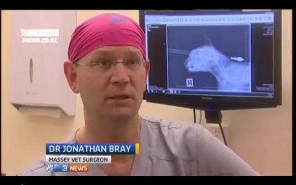 Thoát chết thần kì sau khi bị mũi tên bắn xuyên đầu