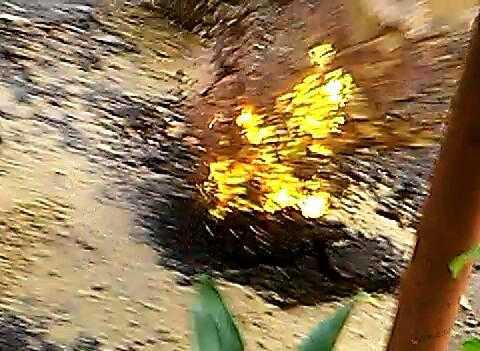 'Hố đen' phun như núi lửa: Lại kết luận... 'do triều cường'