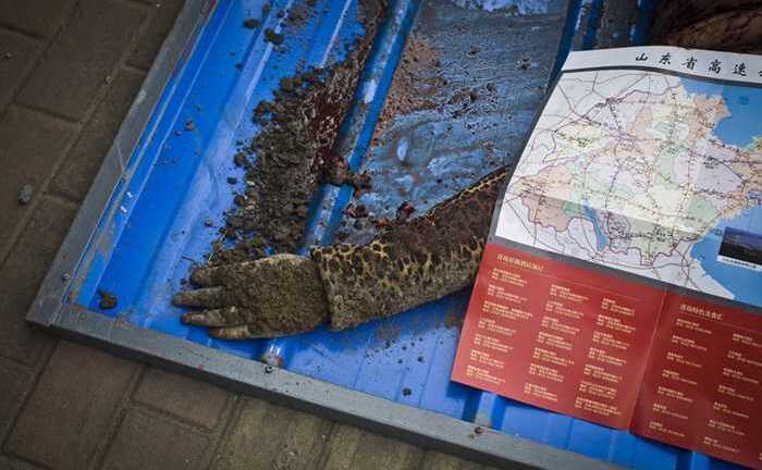 Video: Nổ ống dẫn dầu, gần 200 người thương vong