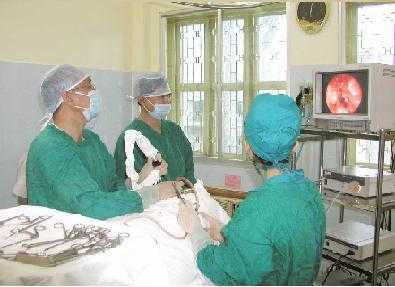 Đi cắt amidan, nữ sinh chết não