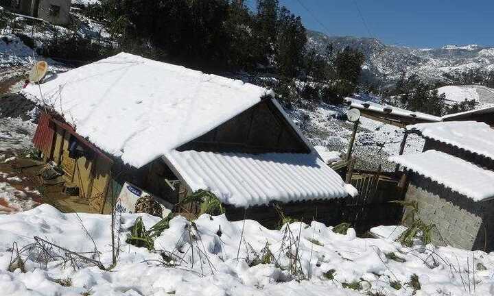 Hôm nay, tuyết vẫn phủ trắng Sa Pa