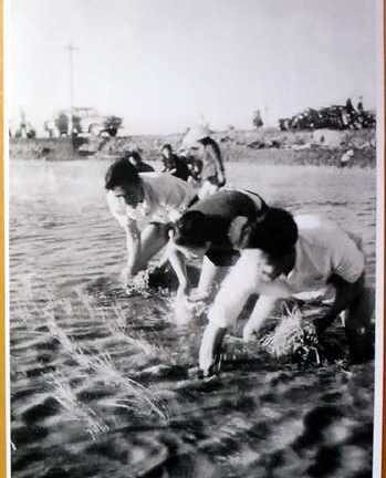 Triển lãm 'Đại tướng Nguyễn Chí Thanh - Cuộc đời và sự nghiệp'