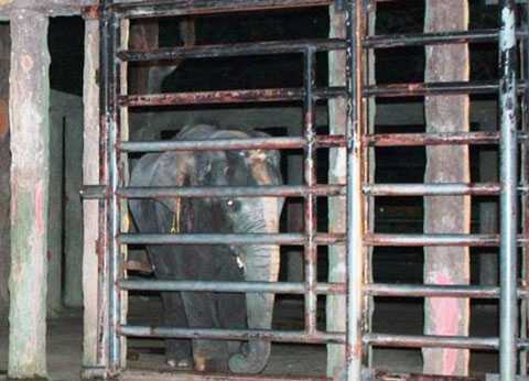 Những vụ tai nạn kinh hoàng ở khu du lịch Đại Nam