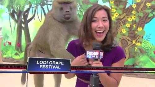 Những sự cố đỏ mặt của phóng viên năm 2013