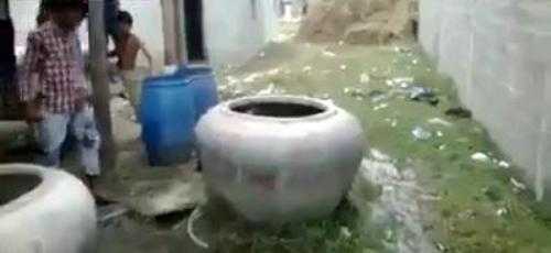 Clip đập chum ra chú bò hút người xem