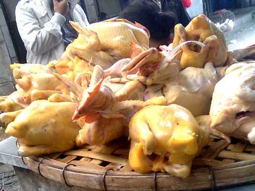 Hoang mang gà tẩm bột sắt cực độc