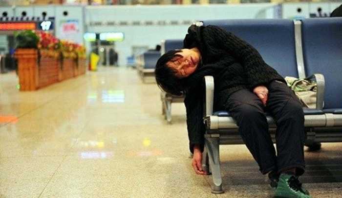Muôn kiểu vạ vật chờ về quê ăn Tết