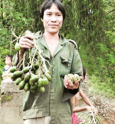 'Người rừng' chuẩn bị đón Tết