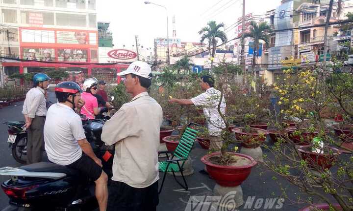 TP.HCM: Đào, quất ế ẩm ngày cuối năm