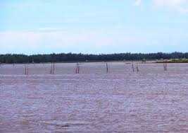 Tạt nước sôi vào bạn ghe, cướp 6 tạ mực