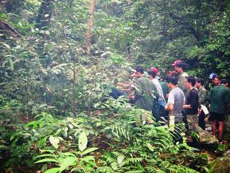 5 phu trầm bị giết: Kẻ thủ ác sắp lĩnh án