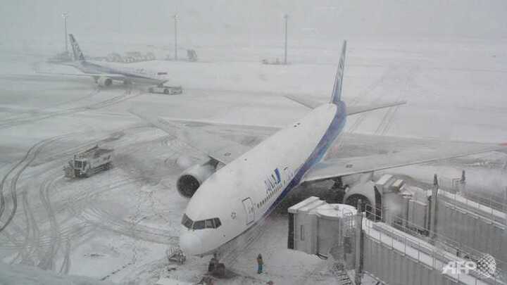 Tuyết dày đặc 'nhấn chìm' Tokyo, 600 người thương vong