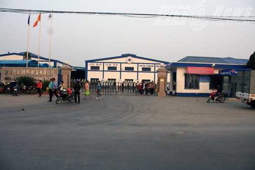 17 công nhân ngộ độc ở Hải Phòng: Bộ Y tế vào cuộc