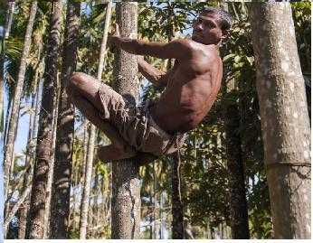 Gặp “thần khỉ” có khả năng chữa bệnh?