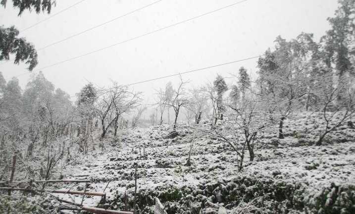 Lào Cai lại xuất hiện băng giá, nhiệt độ tiếp tục giảm sâu