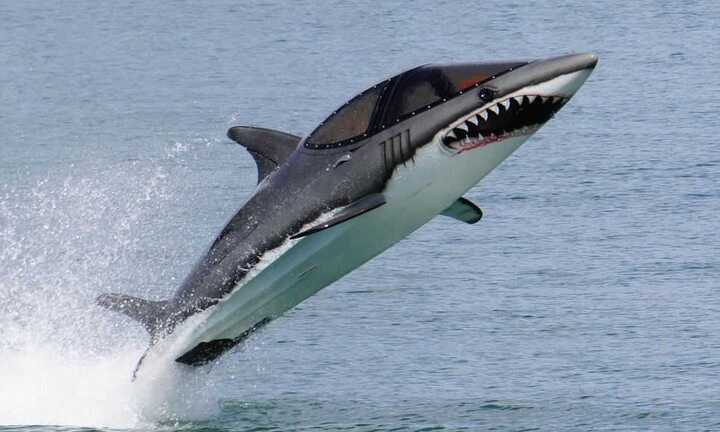 Cận cảnh những con cá mập sắt giá gần 1.4 tỉ đồng