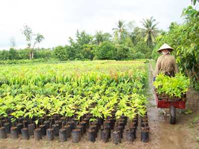 Danh mục vật tư nông nghiệp được miễn thuế
